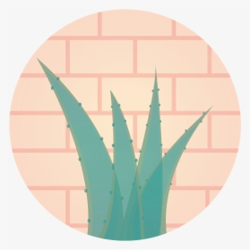 Aloe Vera A Miracle For Health - Agave, HD Png Download, Transparent PNG
