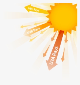 5 Simple Ways To Protect Your Eyes From Sun Exposure - Sun Uv Rays, HD Png Download, Transparent PNG