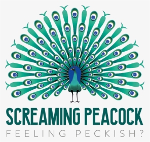 Screaming Peacock - Png Peacock Drawing Vector, Transparent Png, Transparent PNG