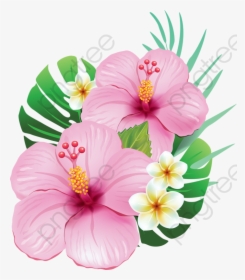 Transparent Hibiscus Clipart Black And White - Flor De Hibisco Png, Png Download, Transparent PNG
