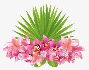 Hawaii Clipart Hawaiian Flower - Tropical Flowers Transparent Background, HD Png Download, Transparent PNG