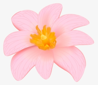 Exotic Pink Flower Clip Art Png Image Flower Designes - Lily, Transparent Png, Transparent PNG