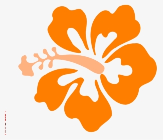 Orange Hibiscus Flower Clipart, HD Png Download, Transparent PNG