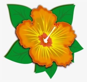 Hibiscus,plant,flower - ภาพ ตัด ปะ สวย ๆ, HD Png Download, Transparent PNG