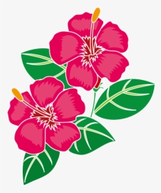 Png Hibiscus Flowers Patterns - ハワイ イラスト 花, Transparent Png, Transparent PNG