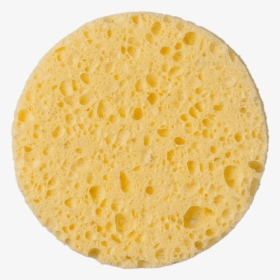 Round Sponge - Sponge .png, Transparent Png, Transparent PNG