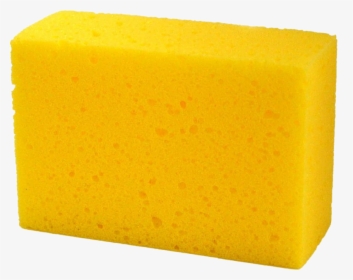 Sponge - Sponge Png, Transparent Png, Transparent PNG