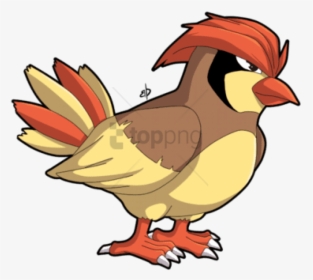 Smosh Pokemon Pidgey - Pokemon Bird With Hair, HD Png Download, Transparent PNG