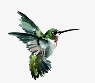Hummingbird Watercolor Painting Drawing - Flying Birds Painting Art, HD Png Download, Transparent PNG