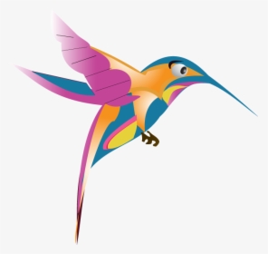 Hummingbird Png Transparent Images - Google Hummingbird, Png Download, Transparent PNG