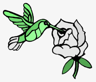 Draw A Hummingbird , Png Download - Draw Hummingbirds And Flower, Transparent Png, Transparent PNG