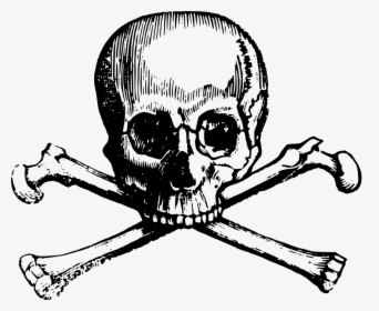 Transparent Pirate Flag Png - Skull And Cross Bones Clipart, Png Download, Transparent PNG