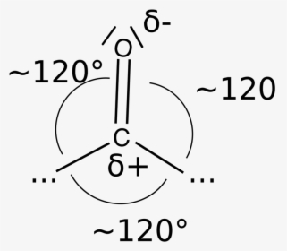 Line Art,symmetry,text - D20, HD Png Download, Transparent PNG