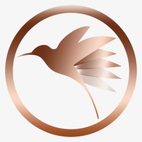 Follow The Hummingbird Consulting, Pbc - Diga Não A Dilma, HD Png Download, Transparent PNG