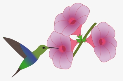 Pink,plant,flower - Hummingbird At Flower Clipart, HD Png Download, Transparent PNG