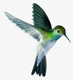 Flying Bird, HD Png Download, Transparent PNG