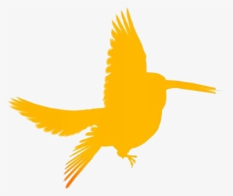 Hummingbird Painting Png Image Clipart - Portable Network Graphics, Transparent Png, Transparent PNG