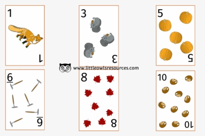 Autumn Number Snap Cards - Illustration, HD Png Download, Transparent PNG