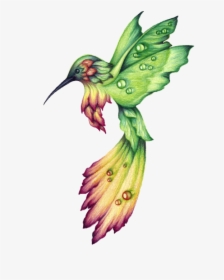 Hummingbird Drawings - Cool Drawings Of Hummingbirds, HD Png Download, Transparent PNG