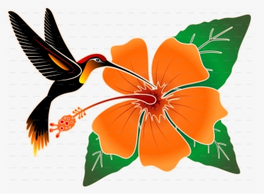 Transparent Clipart Den - Hibiscus And Hummingbird Png, Png Download, Transparent PNG