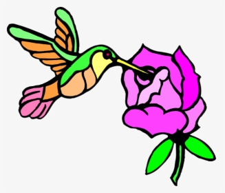 Draw Hummingbirds And Flower, HD Png Download, Transparent PNG