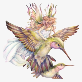 Faerie Drawing Hummingbird - Spirit Of The Animals Oracle By Jody Bergsma, HD Png Download, Transparent PNG
