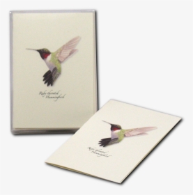 Hummingbird Illustration, HD Png Download, Transparent PNG