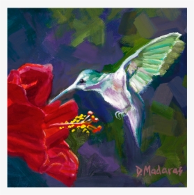 Hummingbird & The Hibiscus, HD Png Download, Transparent PNG