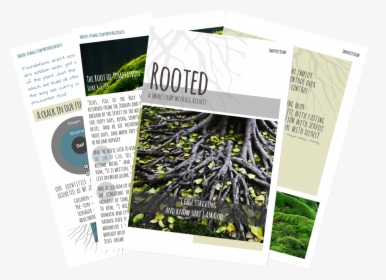 Rooted - Flyer, HD Png Download, Transparent PNG