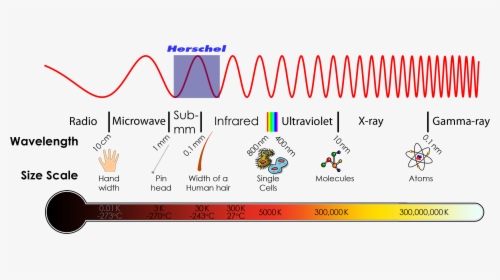 The Electromagnetic Spectrum - Infrared Radiation On The Electromagnetic Spectrum, HD Png Download, Transparent PNG