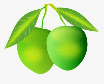 Mango Vector Png, Transparent Png, Transparent PNG
