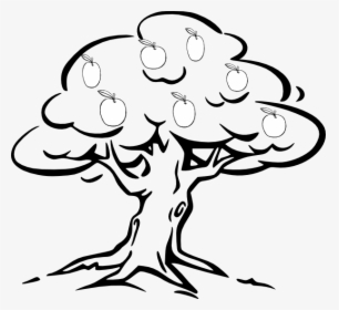 Mango - Tree - Clipart - Tree Black & White, HD Png Download, Transparent PNG