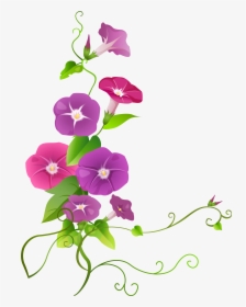 Ipomoea Flower Transparent Png Clip Art Image Png Download - Ipomoea Png, Png Download, Transparent PNG