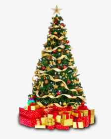 Christmas Tree Png Download, Transparent Png, Transparent PNG