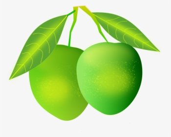 Plant,persian Lime,leaf - Green Mango Png, Transparent Png, Transparent PNG