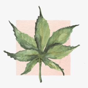 Illustration, HD Png Download, Transparent PNG