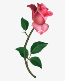 Pink Rose Clipart Small - Pink Rose Clipart, HD Png Download, Transparent PNG