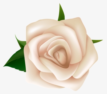 Rose Png - White Rose Clipart Png, Transparent Png, Transparent PNG