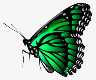 Picsart All Png - Transparent Background Butterfly Gif, Png Download, Transparent PNG