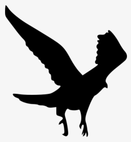 Silhouette Hawk Clip Art - Eagle Silhouette, HD Png Download, Transparent PNG