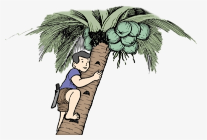 Drawing Man Climbing A Tree, HD Png Download, Transparent PNG
