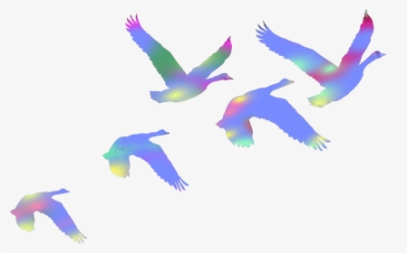 #birds #swans #flyingbirds #flaying #colorful #duce - Colorful Flock Of Birds Png, Transparent Png, Transparent PNG