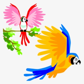 Parrot Clipart Tropical - Birds Flying Images Clipart, HD Png Download, Transparent PNG