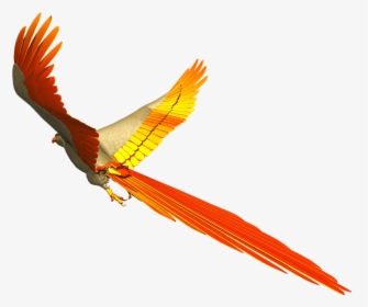 Free Photo Fly Colorful Parrot Isolated Flight - Colorful Birds Flying Png, Transparent Png, Transparent PNG