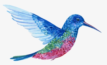 Hand Painted A Flying Colorful Bird Png Transparent - Colorful Flying Birds Transparent, Png Download, Transparent PNG