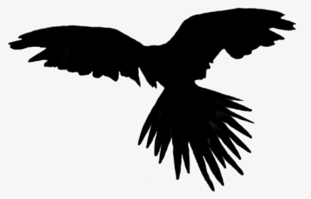 Flying Bird Png With Transparent Background - Flying Parrot Png, Png Download, Transparent PNG