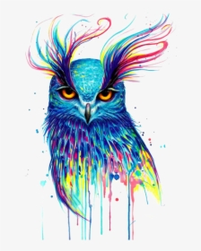 #mq #owl #colorful #paint #birds #bird #flying - Owl Art, HD Png Download, Transparent PNG