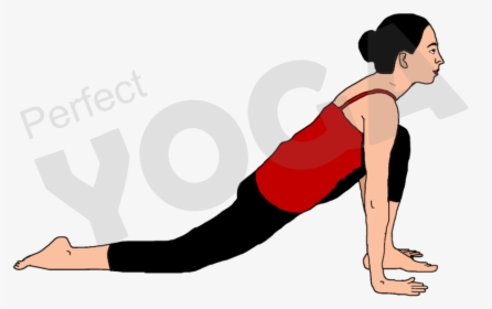 In The Third Stance Of The Purna Surya Namaskar Arrangement - Press Up, HD Png Download, Transparent PNG