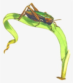 Cricket Insect Png Clipart - Grasshopper On Grass Clipart, Transparent Png, Transparent PNG