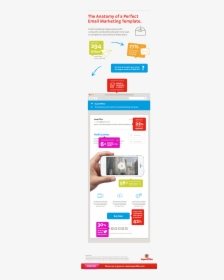 Email Marketing Template Free Download Infographic - Infographic Email Template, HD Png Download, Transparent PNG